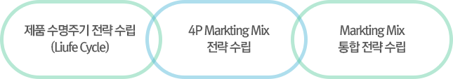 제품 수명주기 전략 수립(Life cycle), 4P Marketing Mix 전략 수립, Marketing Mix 통합 전략 수립